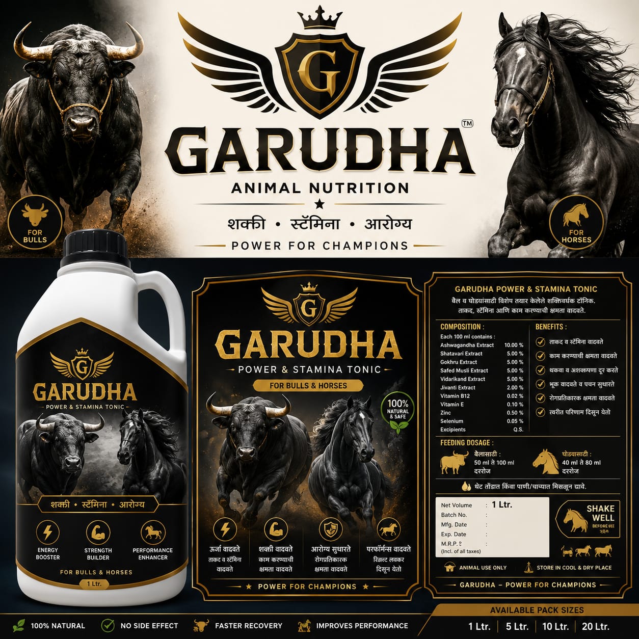 GARUDHA पूर्ण promotional poster