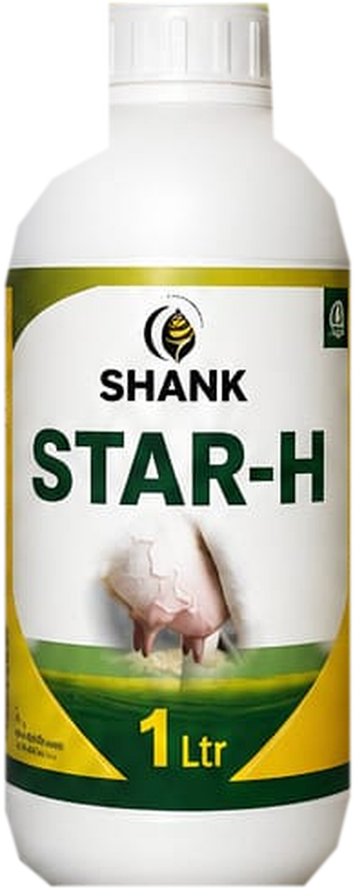 पूर्ण दिसणारी SHANK Star-H बाटली